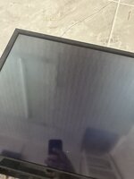 IMG_4655.jpeg
