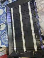 IMG_3020.jpeg