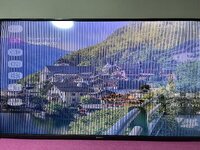 IMG_8773.jpeg