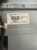 IMG_4519.jpeg