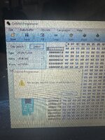 IMG_9723.jpeg