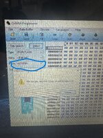 IMG_9723.jpeg
