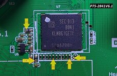 P75-2841V6.1-pinout.jpg