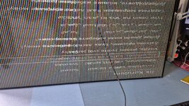 WhatsApp Image 2026-02-11 at 20.00.26.jpeg