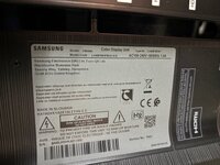 IMG_6736.jpeg