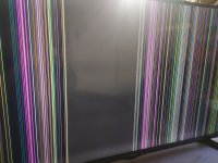 1707579180775.jpg