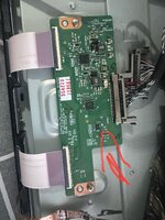IMG_9025.jpeg